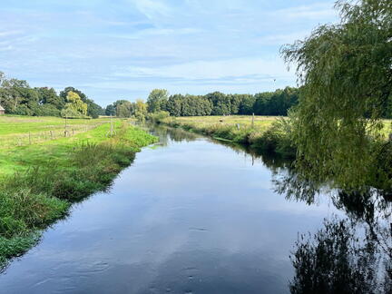 23-09-17 10-54-26 6990